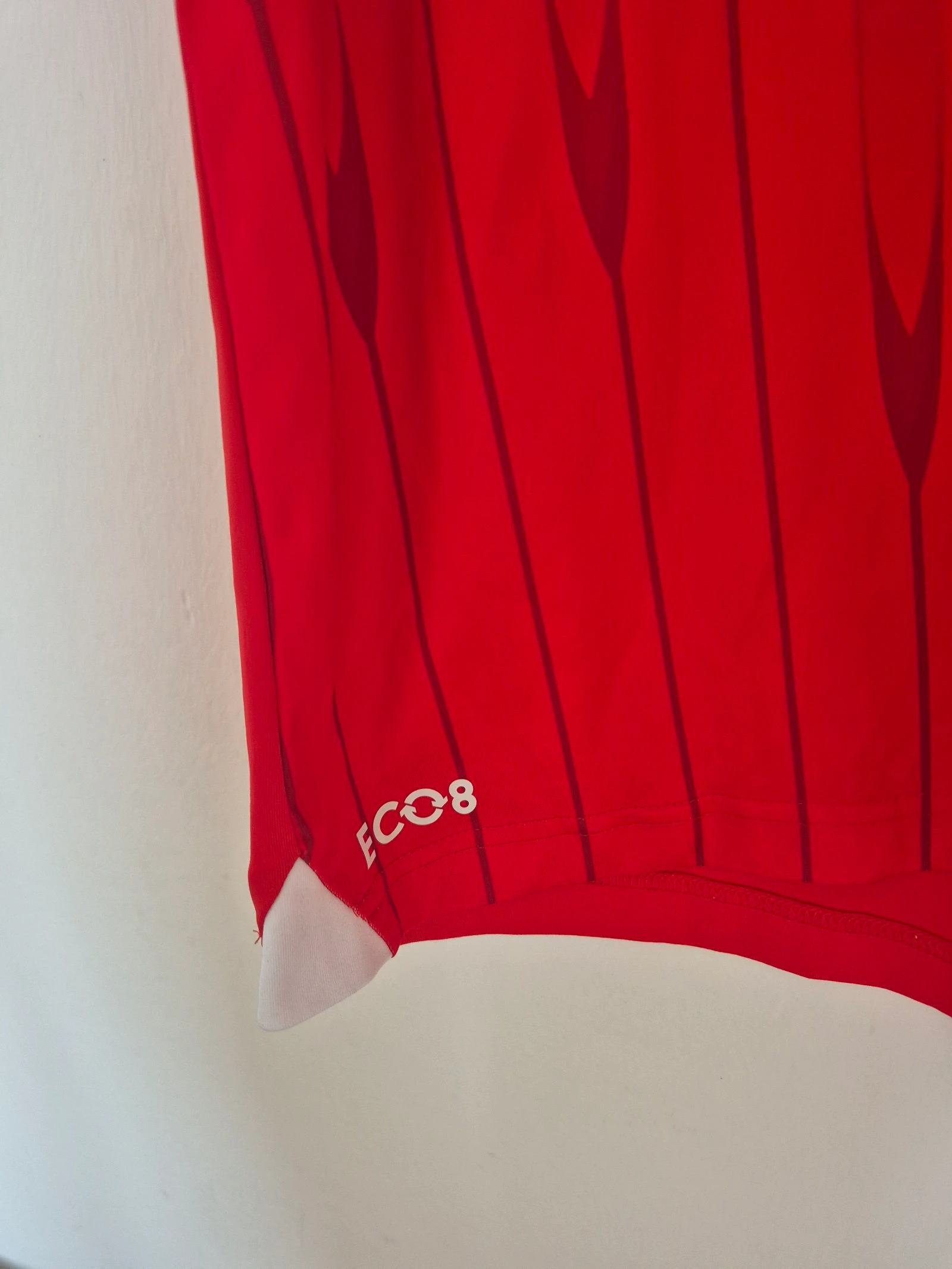 Maillot domicile Charlton Athletic 21/22 Hummel Taille L – photo 5